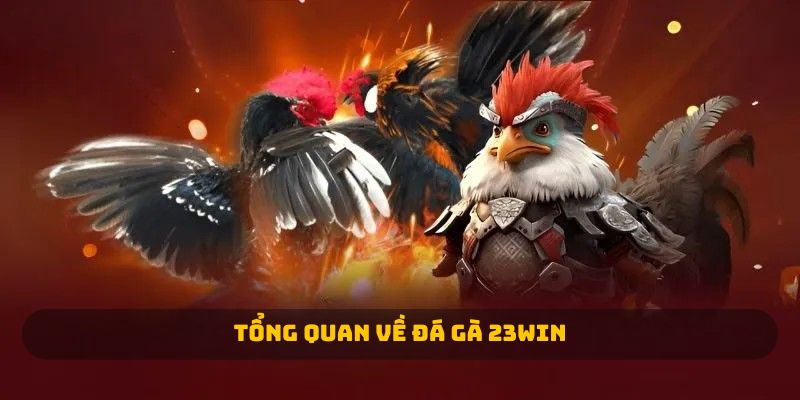 Tổng quan về đá gà 23WIN 